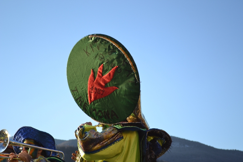carnevale_porto_ceresio_2014 (104).jpg